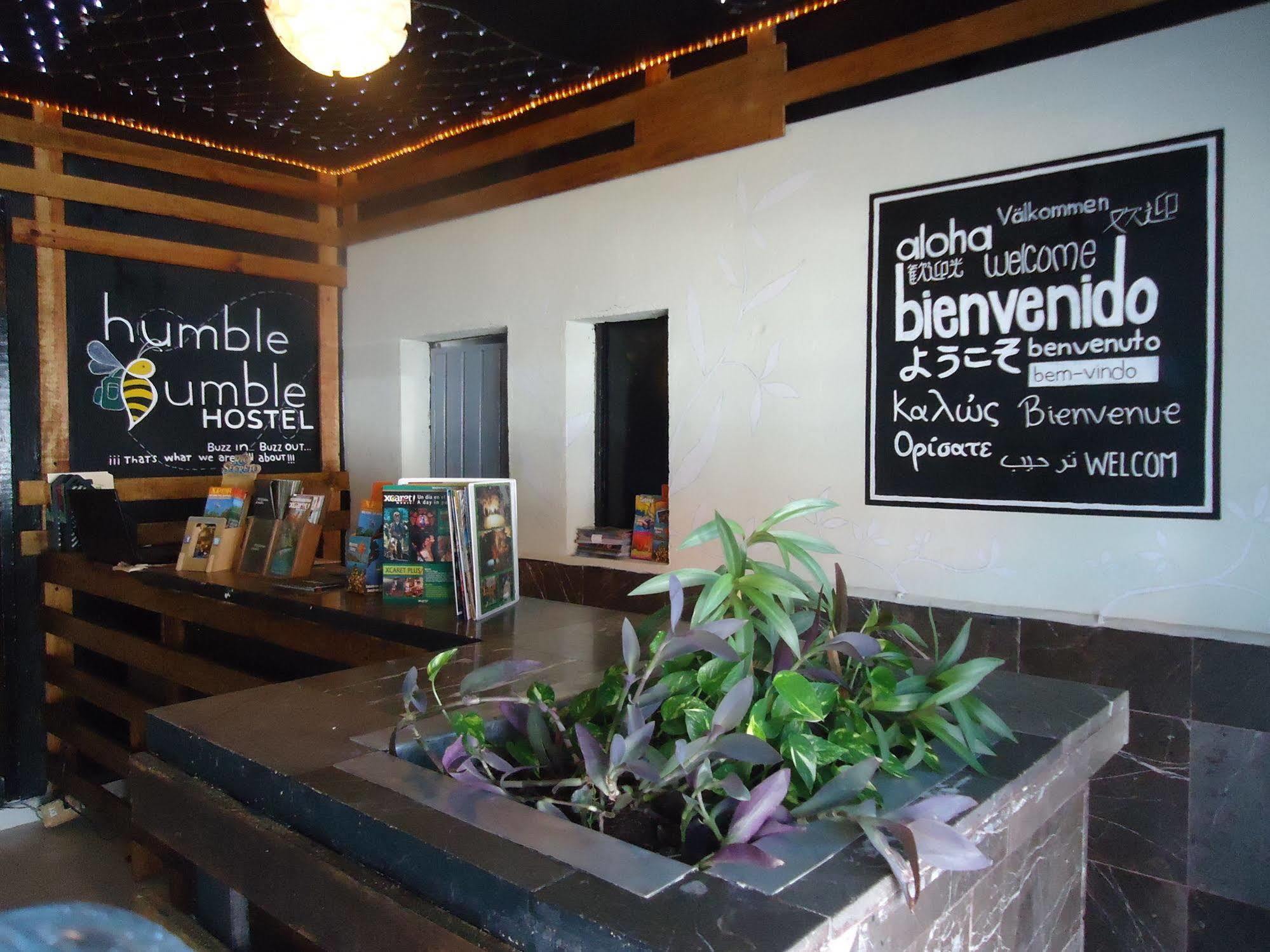 Humble Bumble Hostel Playa del Carmen Buitenkant foto