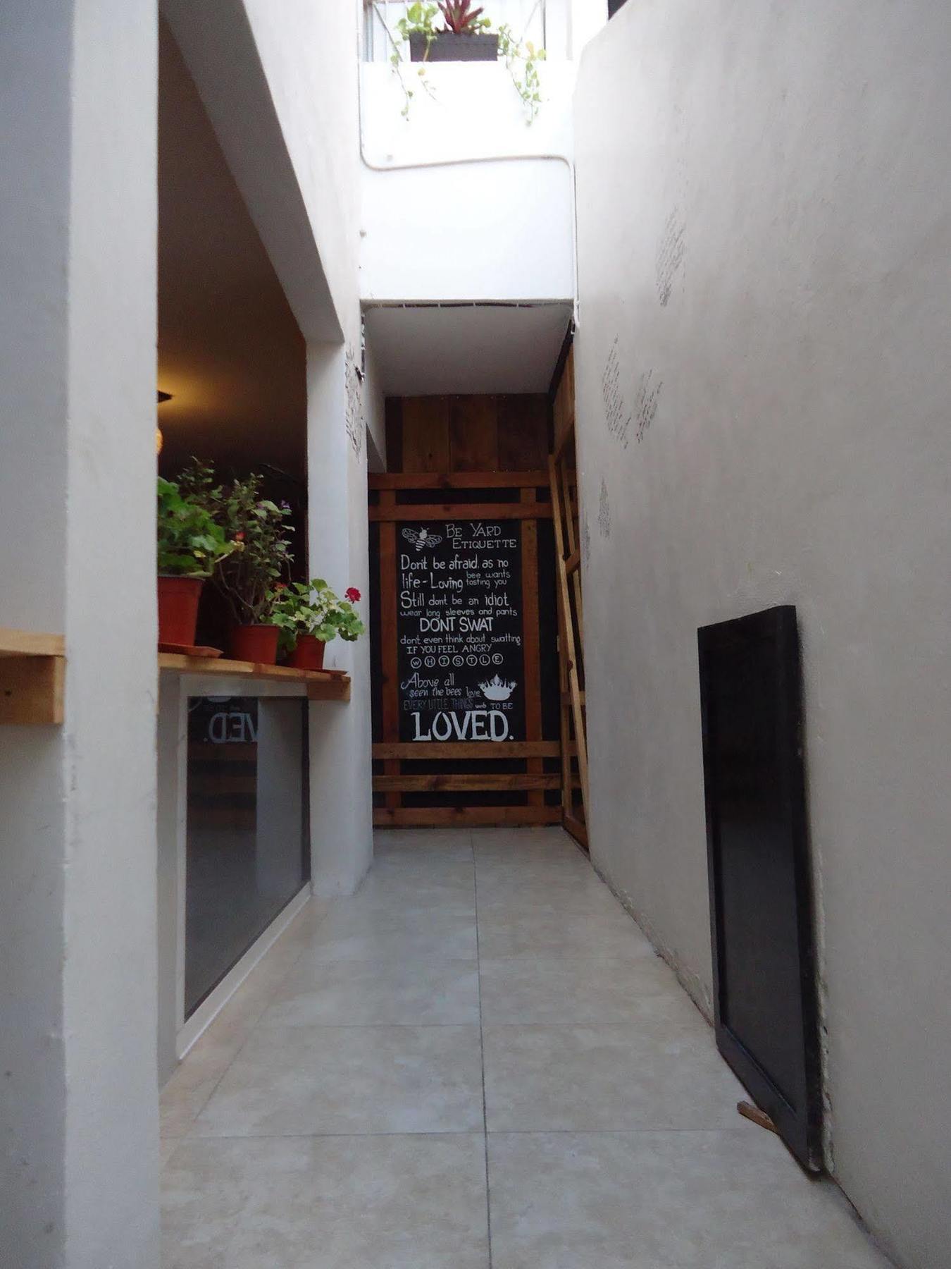 Humble Bumble Hostel Playa del Carmen Buitenkant foto