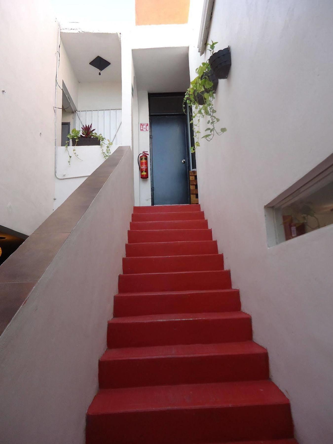 Humble Bumble Hostel Playa del Carmen Buitenkant foto