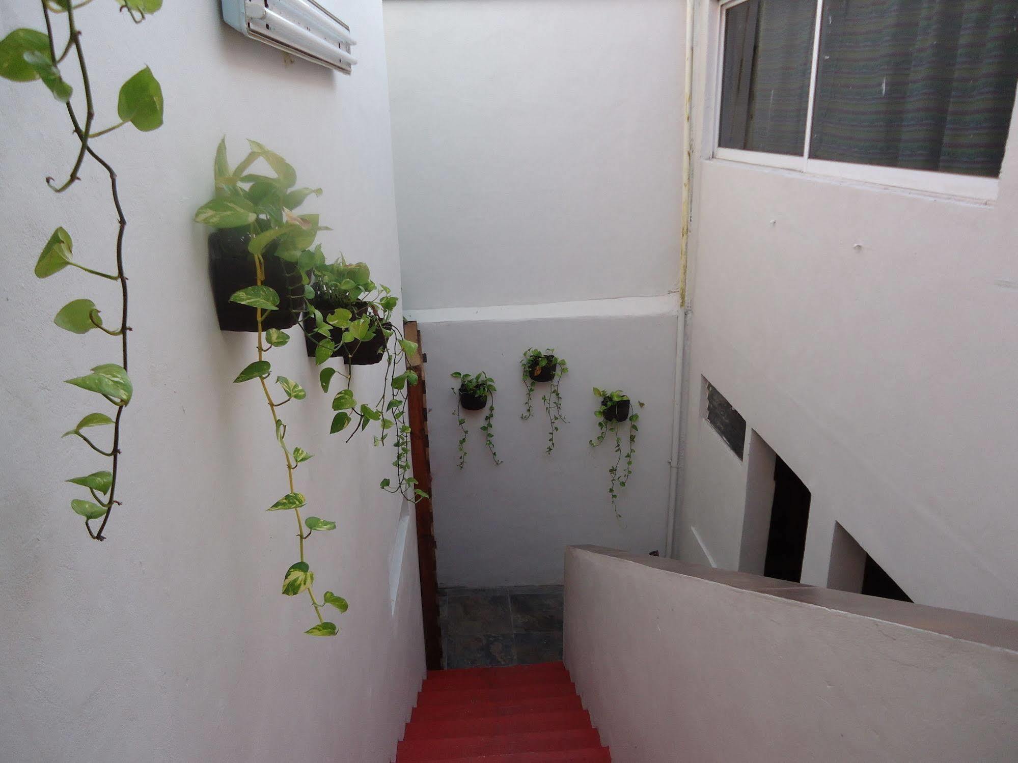 Humble Bumble Hostel Playa del Carmen Buitenkant foto